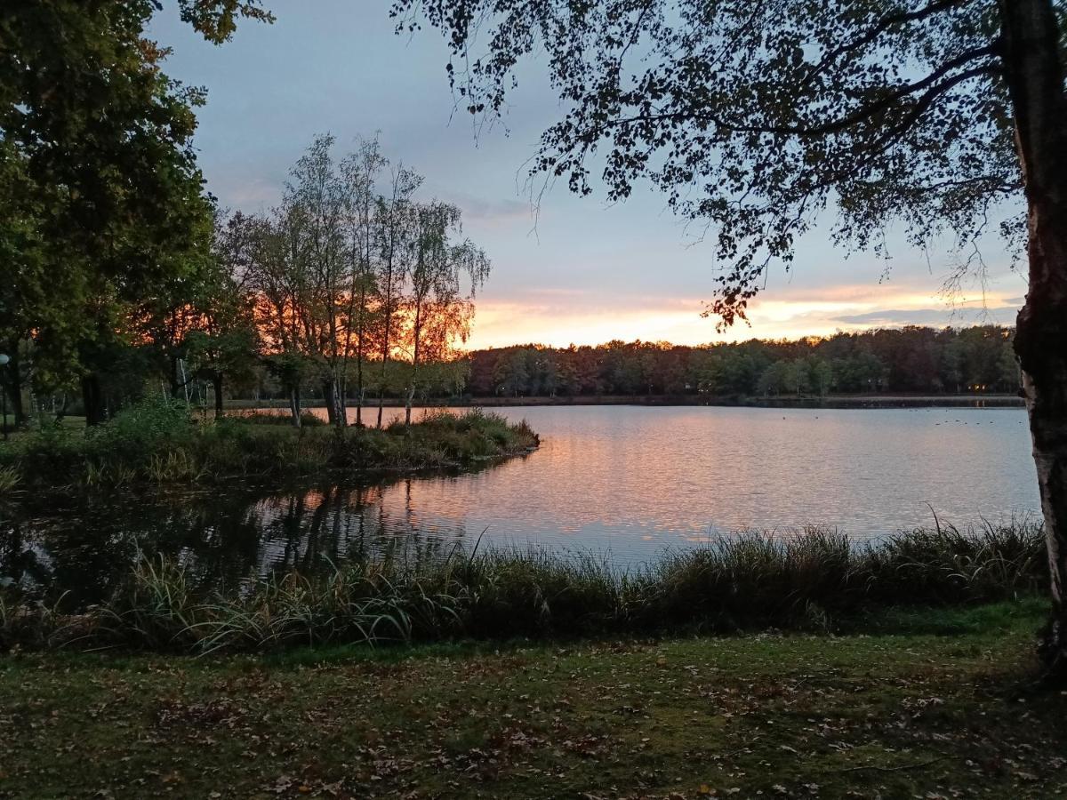 Vila Moliere Rekem Exteriér fotografie
