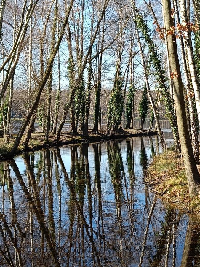 Vila Moliere Rekem Exteriér fotografie