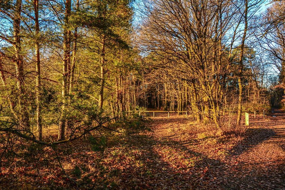 Vila Moliere Rekem Exteriér fotografie